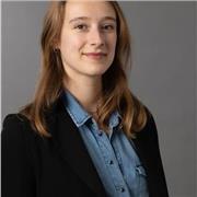 Professeur d'anglais/ Maths / Français/Histoire disponible à distance à partir de 17h